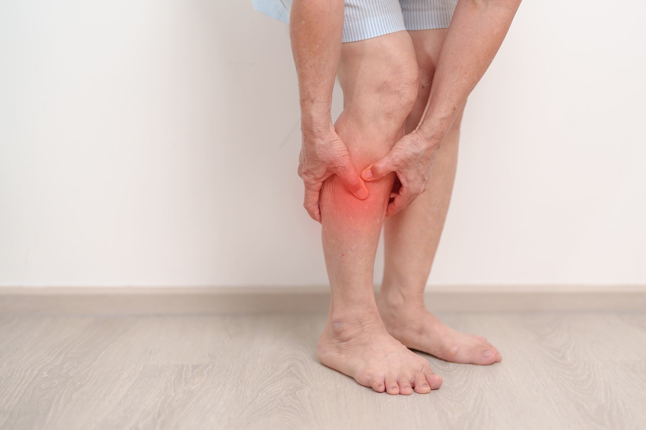 Elderly woman having Calf pain for concepts of Calf Muscle Strain, muscle pull, Leg Cramp, Sprain, aches, Varicose Veins, Deep Vein, world Thrombosis day, Senior Health care and medical treatment