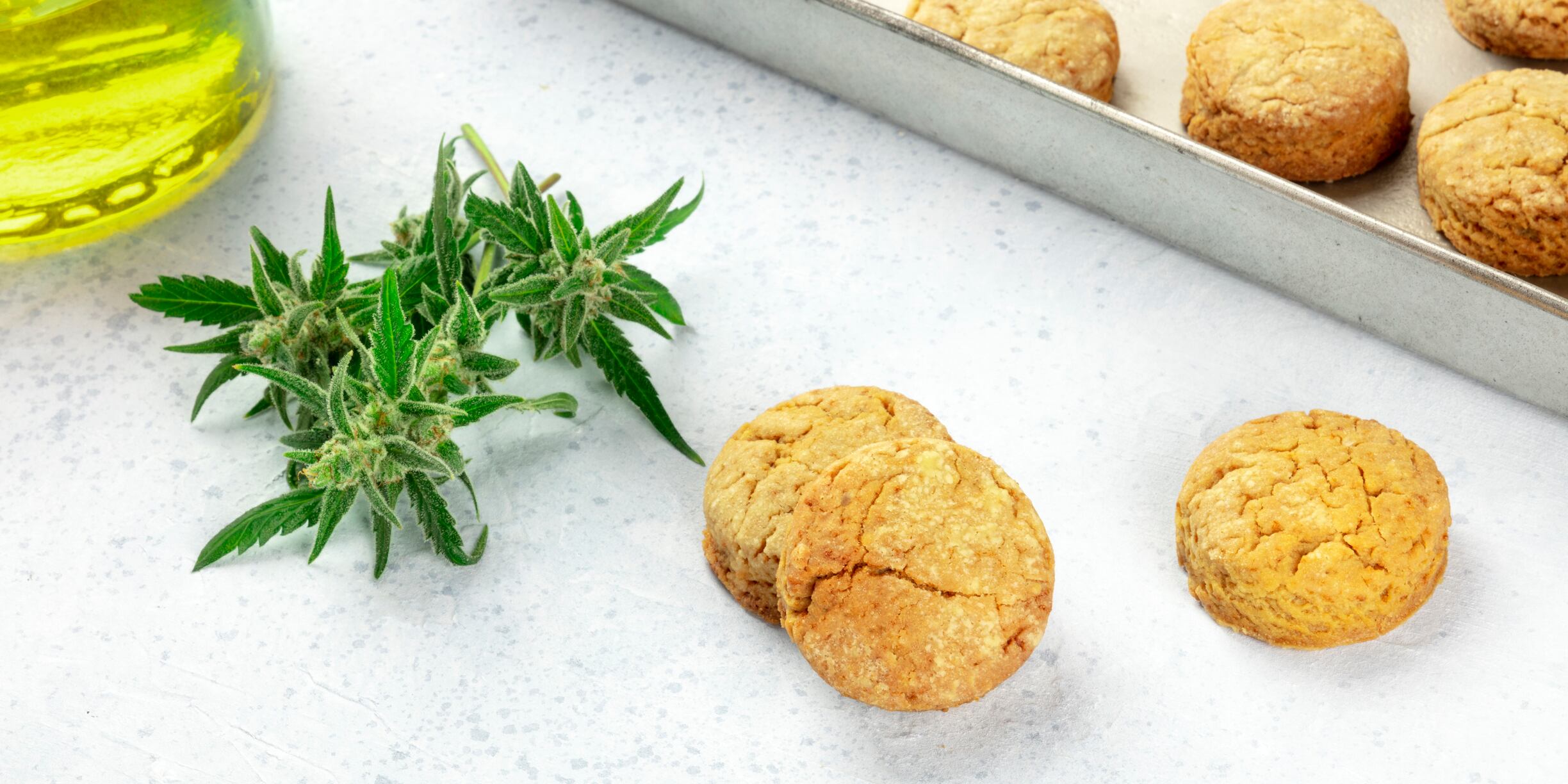 ‘It will be included in a lot of products as a superfood’: Alphagreen discusses CBD trends