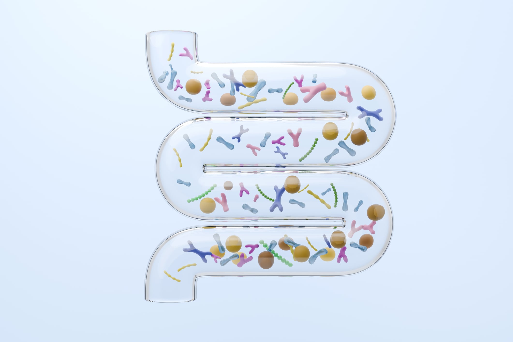 Transparent glass intestine model showing a healthy balance of probiotics, prebiotics, and digestion metabolism. Scientific innovation concept. 3d render.