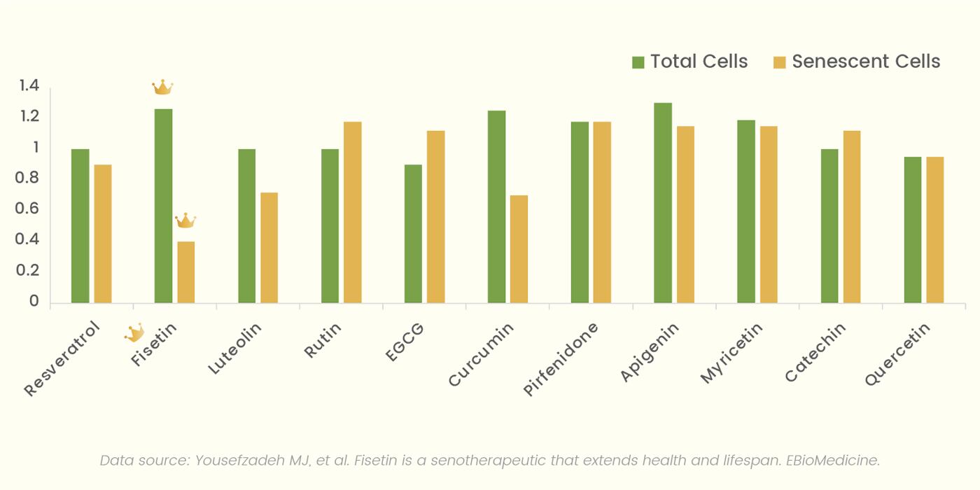 Bar chart from the 2018 Mayo Clinic study ranking fisetin as the most effective natural senolytic among ten flavonoids for clearing senescent cells