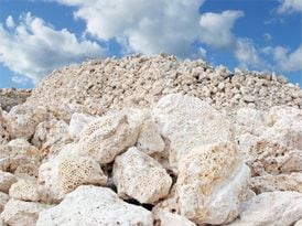 coral-calcium.jpg