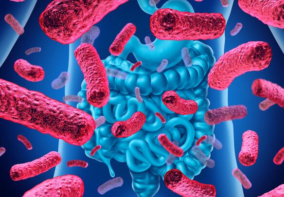 Nebraska team pioneers fast, reliable microbiome modeling