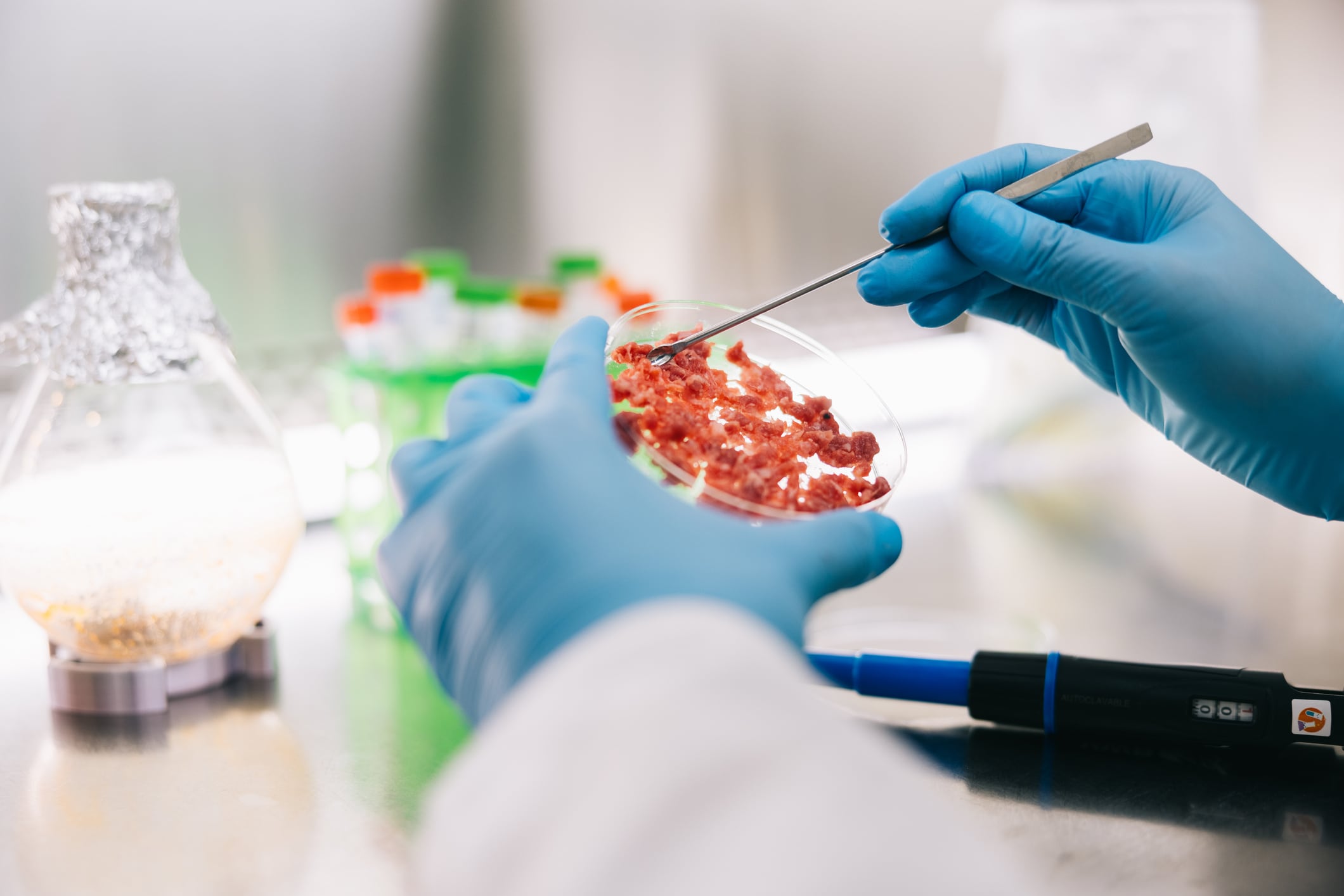 EFSA puts F&B at ‘competitive disadvantage’