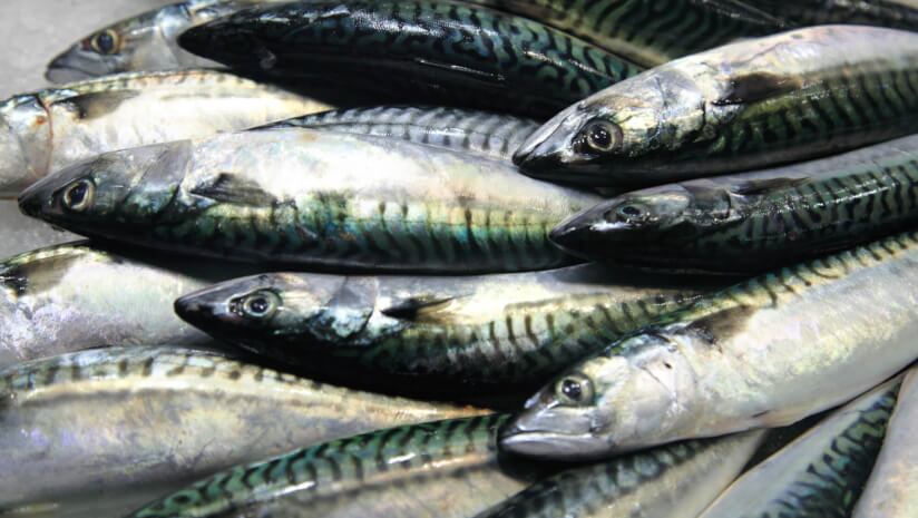 Epax-explores-skin-health-benefits-of-North-Atlantic-fish-oil.jpg