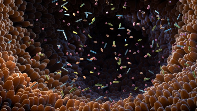 Matters of the Microbiome