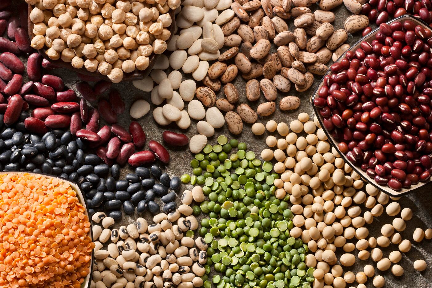 Resistant-starch-rich beans and pulses offer prebiotic options for formulators