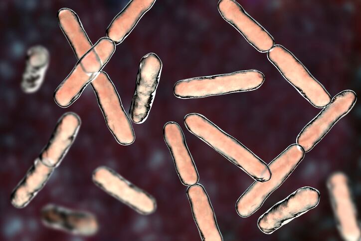 Probiotics developers push boundaries of product categories