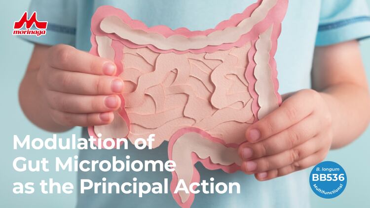 Maintain-the-Gut-Microbiome-with-Morinaga-s-BB536.png