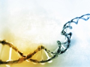 DNA © iStock HYWARDS