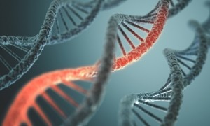 genes DNA