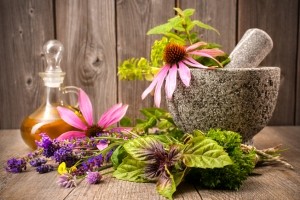 herbal botanical plants traditional chinese iStock AlexRaths