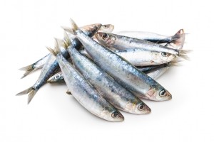 sardines omega-3 fish iStock.com AlexRaths