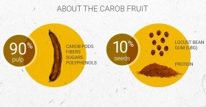 about the carob fruit