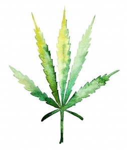 Cannabis leaf © Getty Images Olena Starostenko
