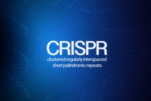 CRISPR © Getty Images ANNECORDON