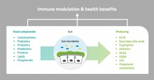 graphic Immune modulation & health benefits
