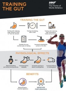 Training the Gut IAAF infographic