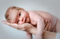 infant baby maternal formula breastfeeding