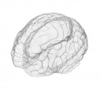 neuro brain cognitive