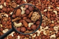 nuts protein ingredient