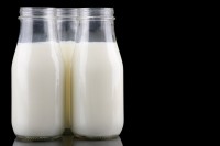 milk fermented cultured probiotics
