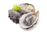 oysters seafood Kai_Wong