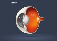 eye-retina
