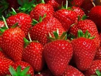 strawberry fruit berry polyphenols iStock.com fanelie rosier