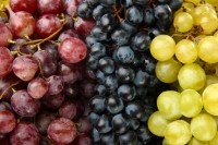grape colours iStock.com belchonock