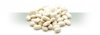 white-bean-extract