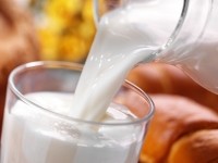 milk calcium fermented