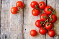 tomatoes lycopene