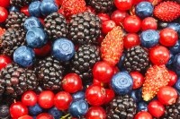 fruit berries