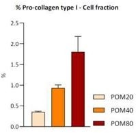 Figure 2. Pro-collagen Type I