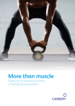 More Than Muscle - Exploring the Additional Benefits of Hydrolysed Whey Protein