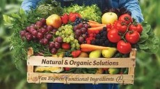 Natural & Organic Solutions