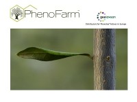 Phenolea®Actives: technology and research behind the benefits of the Mediterranean olive oil
