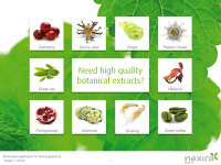 Need high quality botanical extracts?