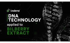 DNA Technology applied to Bilberry Extract as the ultimate guarantee of quality and safety 