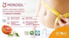 MOROSIL™ THE PHYTOCOMPLEX TO REDUCE FAT ACCUMULATION