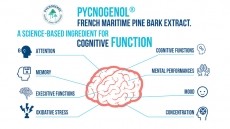 Pycnogenol® for Enhanced Cognitive Performance 