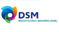 DSM finishes sale of pharma assets to US firm
