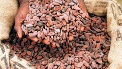 Healthy chocolate? The growing evidence for cocoa flavanols
