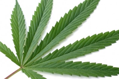Oz, NZ get first-step approval for hemp in food 