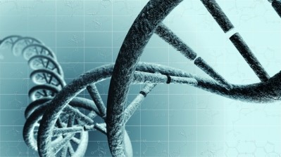 A diet low in protein resulted in a direct link between restricted growth and DNA modifications. ©iStock/fredmantel