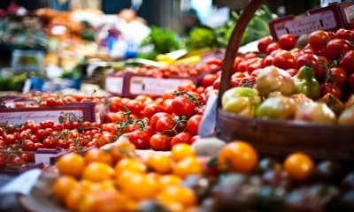 Wasted value: Tomato waste backed for development of ‘nutrient rich’ ingredients