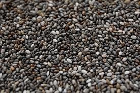 The use of omega-3 rich chia in dairy has been 