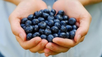 Polyphenol counts in berries may be high, but bioavailability is much lower, say researchers 