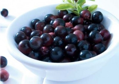 Acai may counter oxidative stress and boost lifespan, in fruit flies
