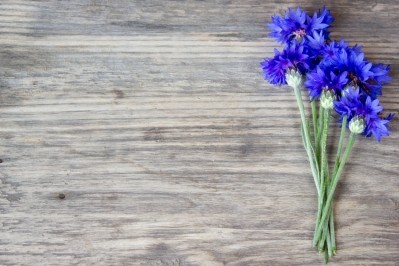 'Apart from the ‘glam’ factor, edible flowers have important nutritional characteristics and can constitute new sources of bioactive compounds,' says researchers. ©iStock/Avdeev_80 